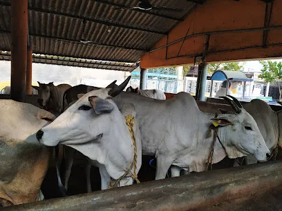 Eluru Gosamrakshana Samiti