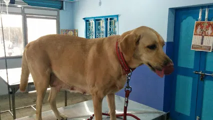 Sri Hanuman Pet Speciality Hospital