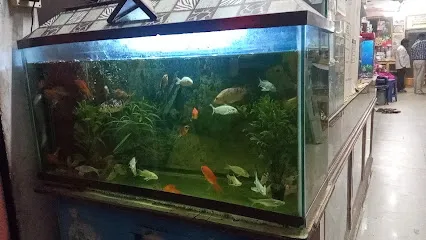 Sri Rajeshwari Aquariums