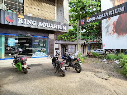 King Aquarium