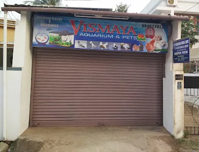 Vismaya Aquarium & Pets