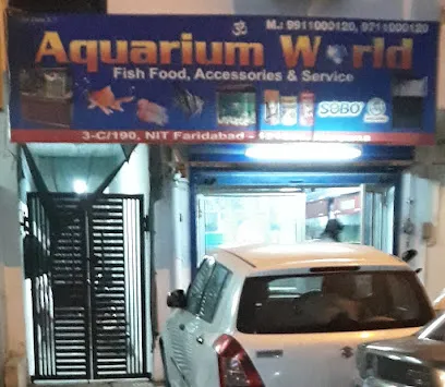 Aquarium World