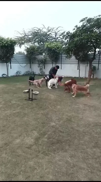 Ashok Dog Trainer And Boarding House