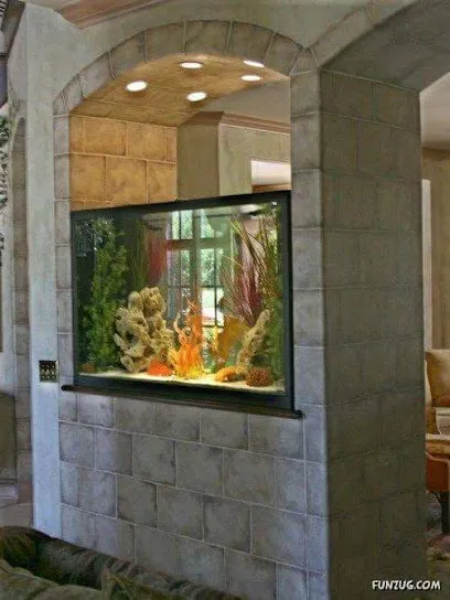 Quality Fish Aquarium