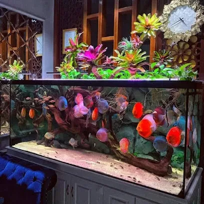 Maa Mangla Aquarium