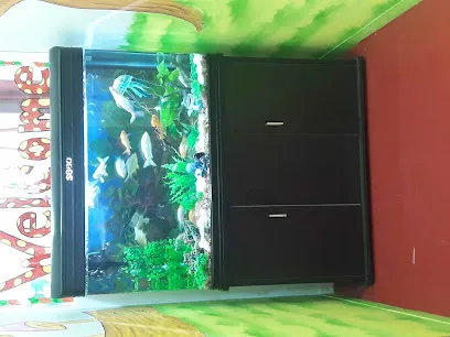 Aqua Queen Fish Aquarium Shop