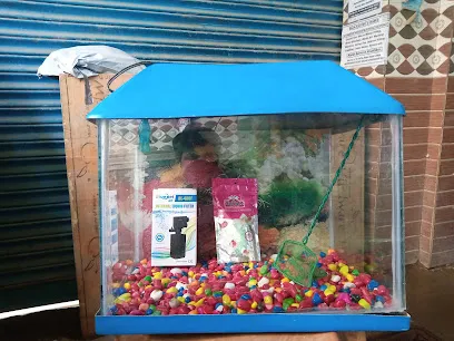 Loving Fish Aquarium House And Pet Shop