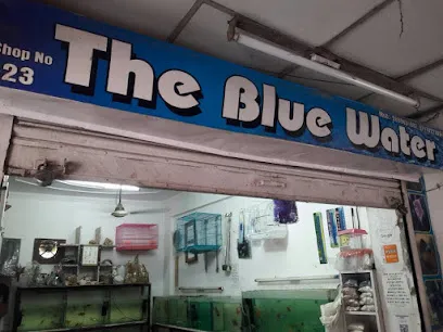 The Blue Water