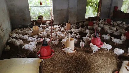 Raju Poultry Farm