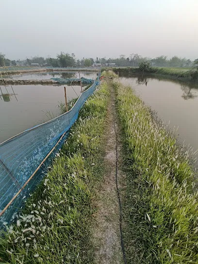 Neer Aqua Culture, Fish Nursery