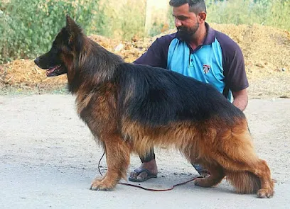 Brother's Shepherd Kennel