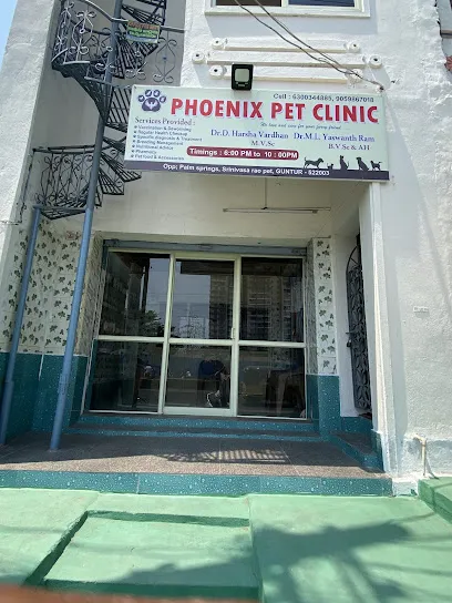 Phoenix Pet Clinic