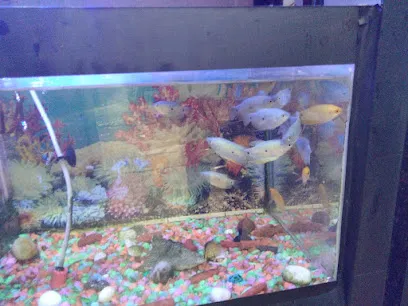 Ayush Fish Aquarium