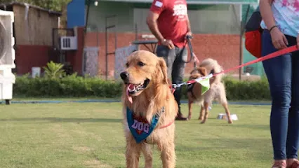 Barking Lot Pet Resort