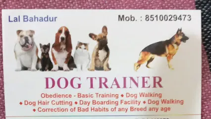 Dog Training Services