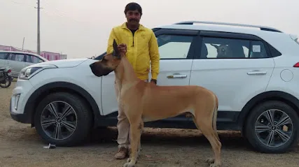 Gopal Singh Dog Training & Boarding In Gurgaon