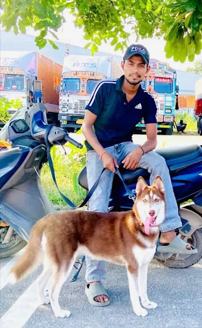 Nikhil Dog Boarding Gurgaon