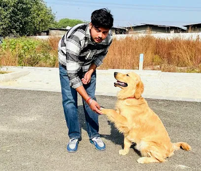 Pankaj Dog Trainer & Boarding House