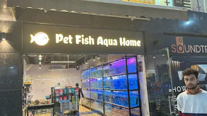 Pet Fish Aqua Home