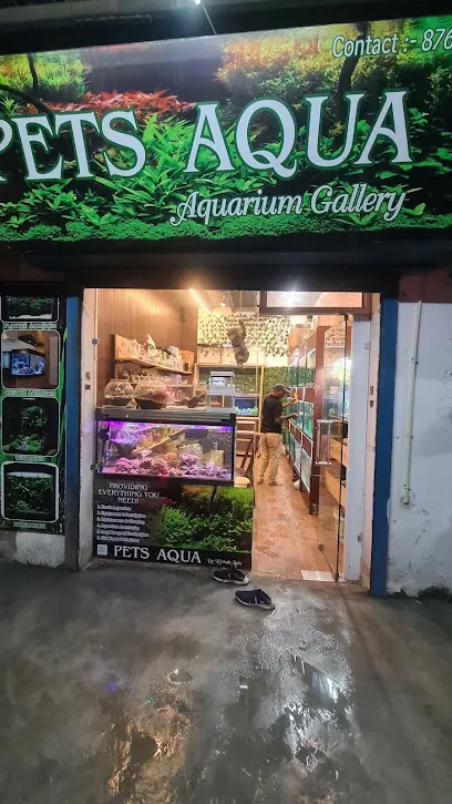 Pets Aqua-(Best Aquarium Shop)