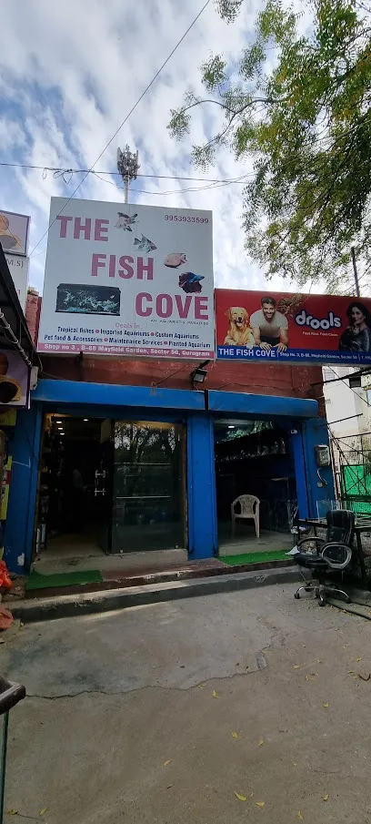 The Fish Cove