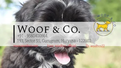 Woof & Co - Pet Boarding Services | Dog Day Care | Dog Walking