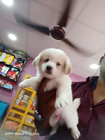 Charlie And Jenny's Kennel Pet Shop Guwahati