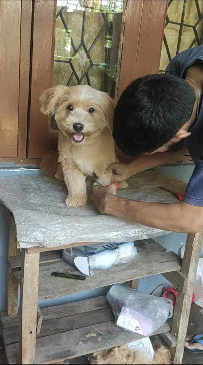 Pets Home Visit Grooming