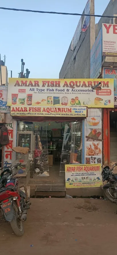 Amar Fish Aquarium