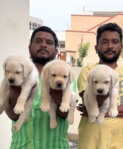 Bhairava Dog Farm