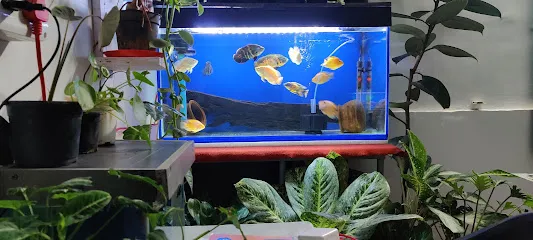 Renuka Aquarium & Bird's