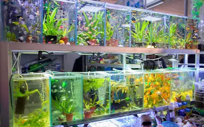 Modern Aquarium Howrah