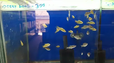 Sea Sun Aquarium