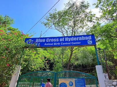 Blue Cross Of Hyderabad