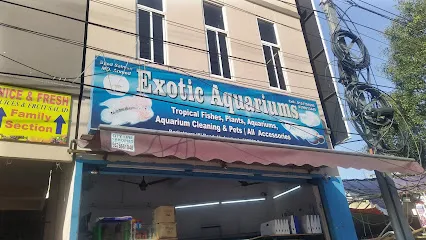 Exotic Aquariums