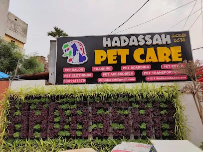 Hadassah Pets Care