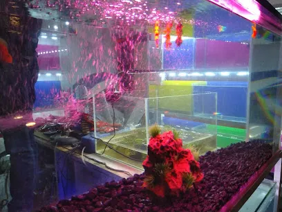 Jai Sai Baba Aquarium