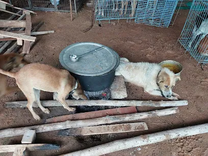 Jeeva Vaatsalya Rescue And Rehabilitation Center