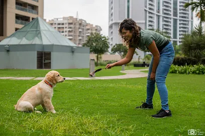 Joellas Dog Care - Dog Training