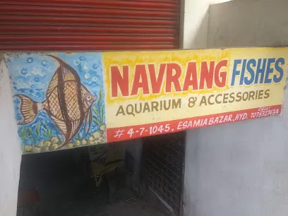 Navrang Fishes