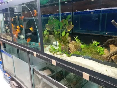 Ocean Aquarium Mart