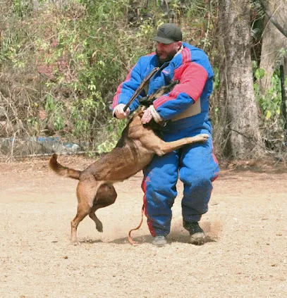 Progressive Canines