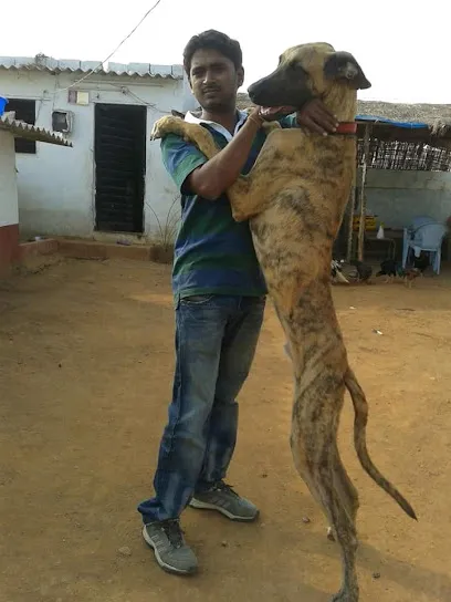 Surya Dog Trainer's