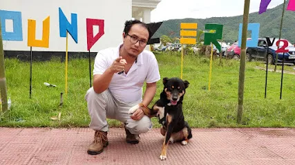 Jone Dog Training Centre