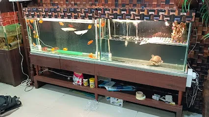 Aarya Marine Aquarium