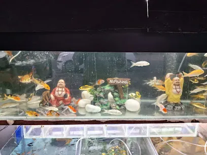 Happy Fish Aquarium