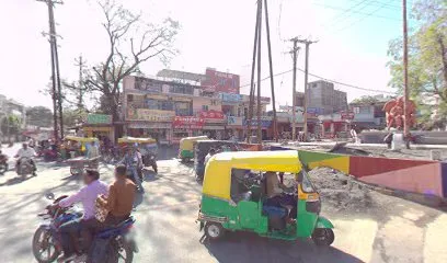 Lal Shanti Gaushala And Jan Seva Samiti