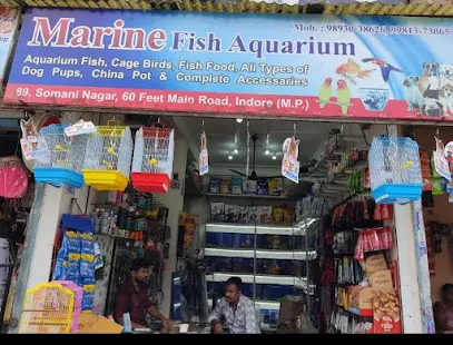 Marine Fish Aquarium