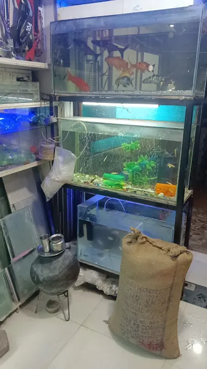 Shree Balaji Fish Aquarium