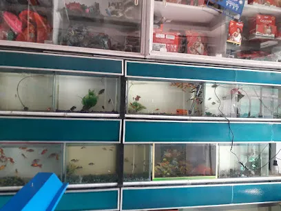 Shree Balaji Fish Aquarium